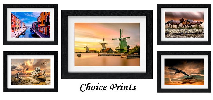 Choice Framed Prints